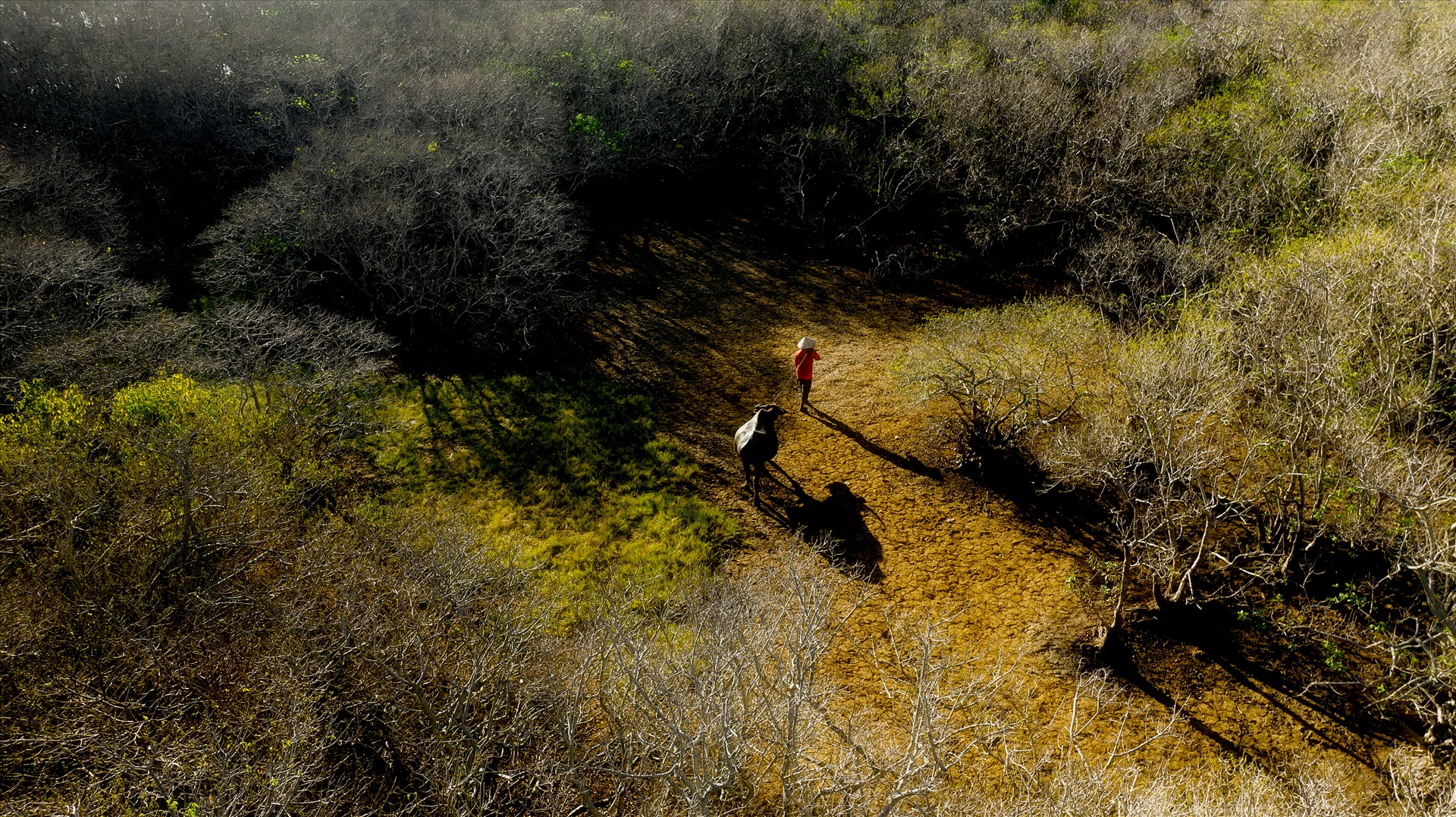 Rú Chá - thiên đường hoang sơ như trời Âu ở xứ Huế