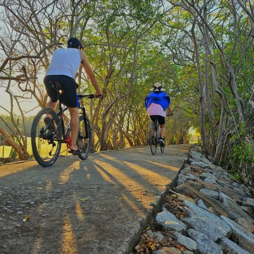 Tham quan tại Rú Chá